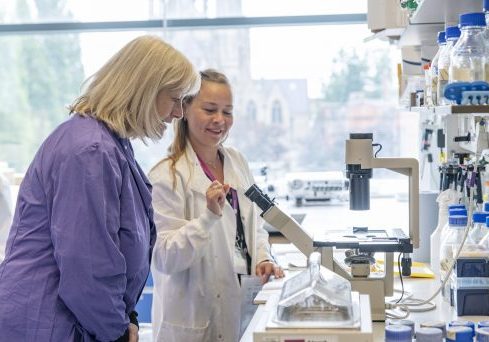 In the lab at the Alport Research Hub In the lab at the Alport Research Hub