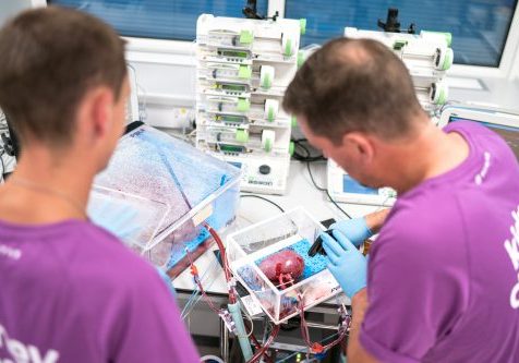 Professor John Stone and researcher in the lab