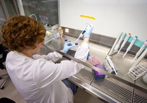 General image - research in lab