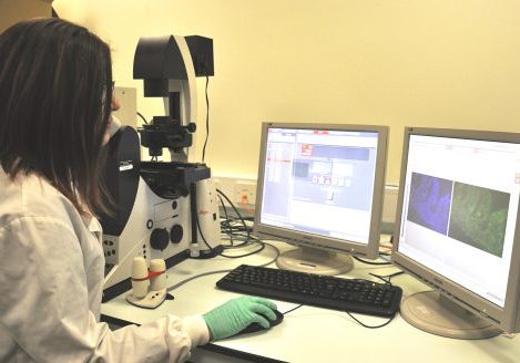 Female researcher at her desk looking at computer monitors