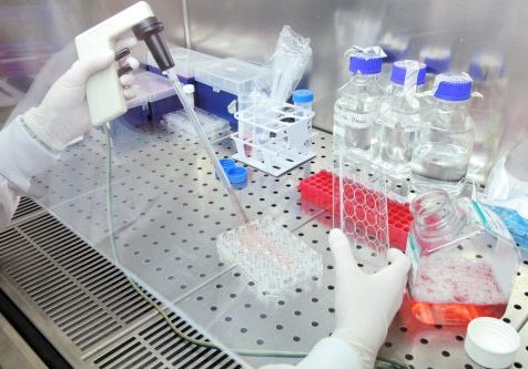 Researcher using a pipette to drop samples into test tubes