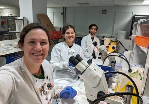 Three researchers in the lab wearing white coats with microscopes on the bench in front of them.