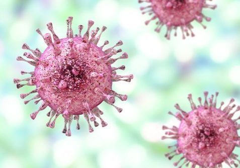 Cytomegalovirus CMV, a DNA virus from Herpesviridae family. 3D illustration. 