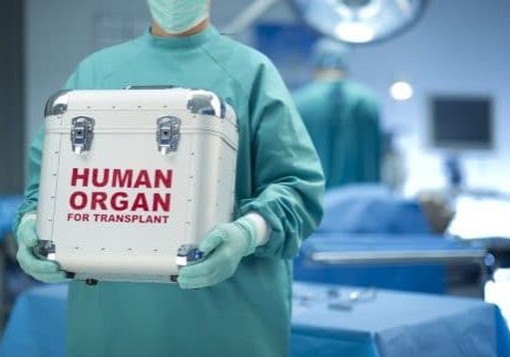 surgeon with his fresh delivery