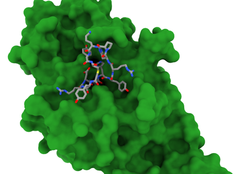 A green image, which looks like lots of peas squashed together, with grey lines with red and blue dots on them
